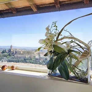  Apartamento Rinidia - Centro